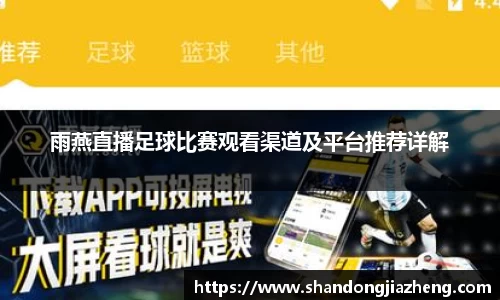 雨燕直播足球比赛观看渠道及平台推荐详解
