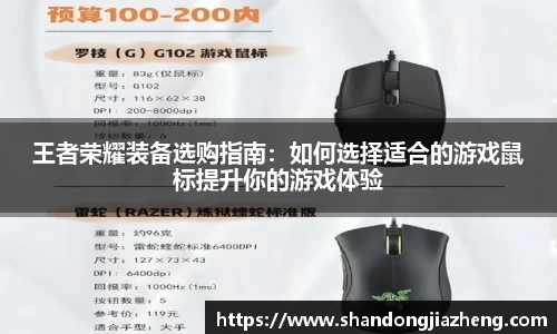 王者荣耀装备选购指南：如何选择适合的游戏鼠标提升你的游戏体验