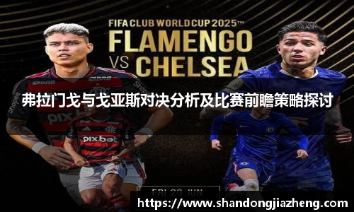 弗拉门戈与戈亚斯对决分析及比赛前瞻策略探讨
